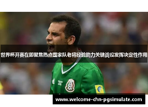 世界杯开赛在即聚焦热点国家队老将经验助力关键战役发挥决定性作用