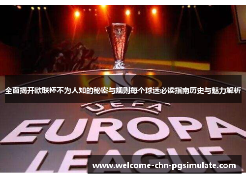全面揭开欧联杯不为人知的秘密与规则每个球迷必读指南历史与魅力解析